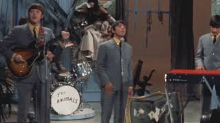 The Animals  -  For Miss Caulker