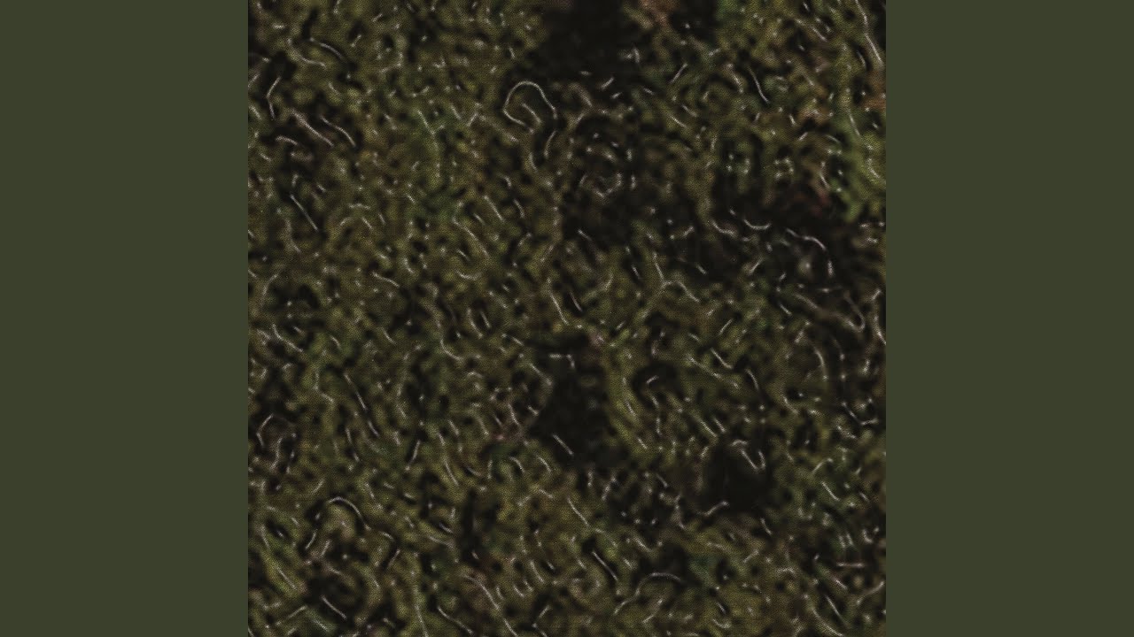 Marsh Law (feat. Sam Zircon, Lee Scott, Trellion)