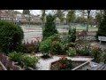 Timelapse my garden