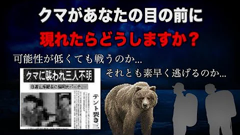 ペトロパブロスク熊事件