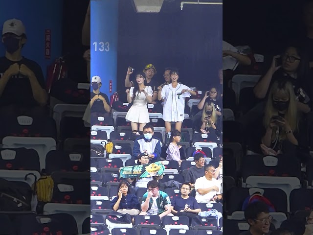 野生 #安芝儇  #MINGO 來到了大巨蛋 幫台鋼加油!!! 還跳了葉保弟 #cheerleader #cpbl #台湾チア #チアリーダー #안지현 #박민서 #朴旻曙 #wingstars