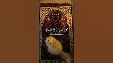 قران كريم بصوت جميل وهادئ #اكتب_شي_تؤجر_عليه #عبدالرحمن_مسعد
