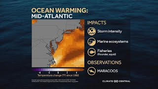 New climate data shows the Chesapeake Bay is warming at an exceptional rate