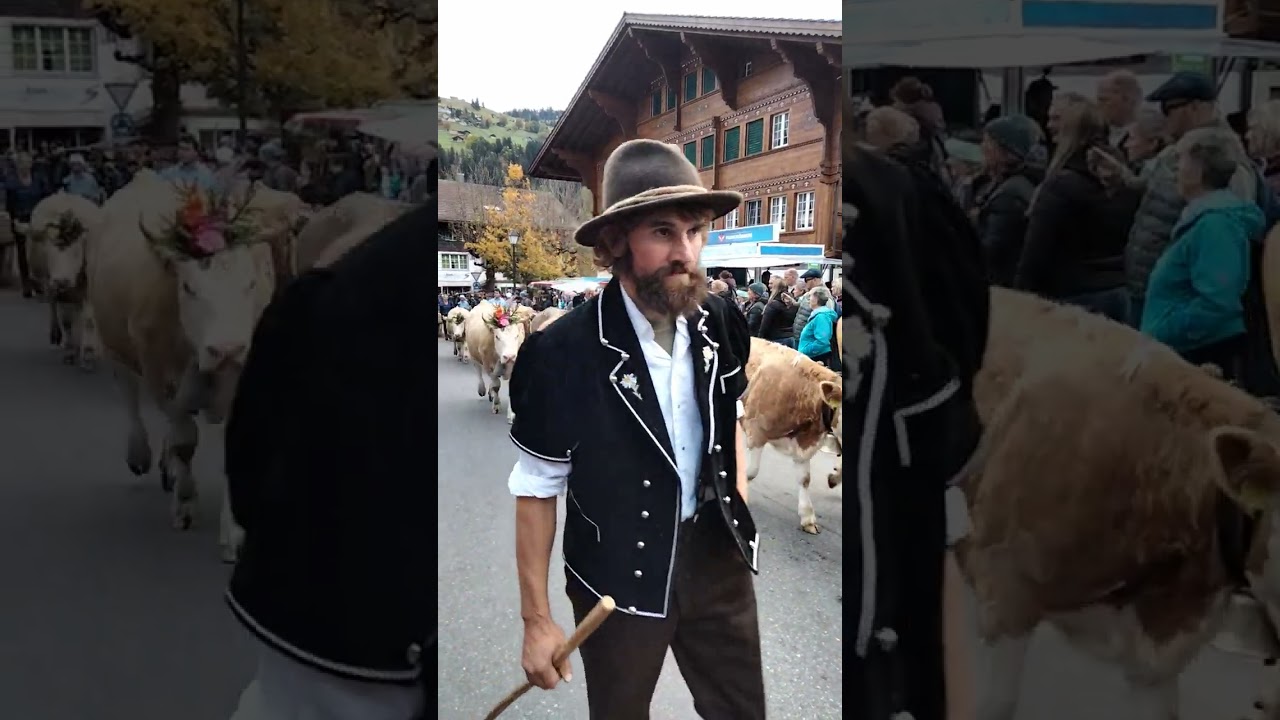 Alpabzug Lenk im simmentahl.🇨🇭💪