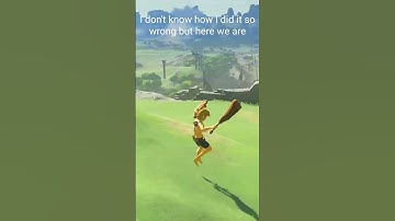 Fun Fact about Fall damage cancel #botw