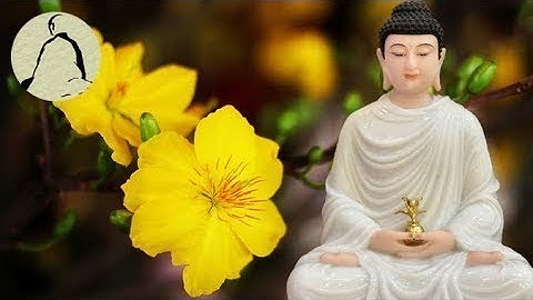 Nhạc Thiền Tịnh Tâm Thư Thái Xua Tan Mệt Mỏi Ưu Phiền - #Mới