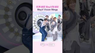 이게 바로 WayV의 비상 WayV Vision Wings