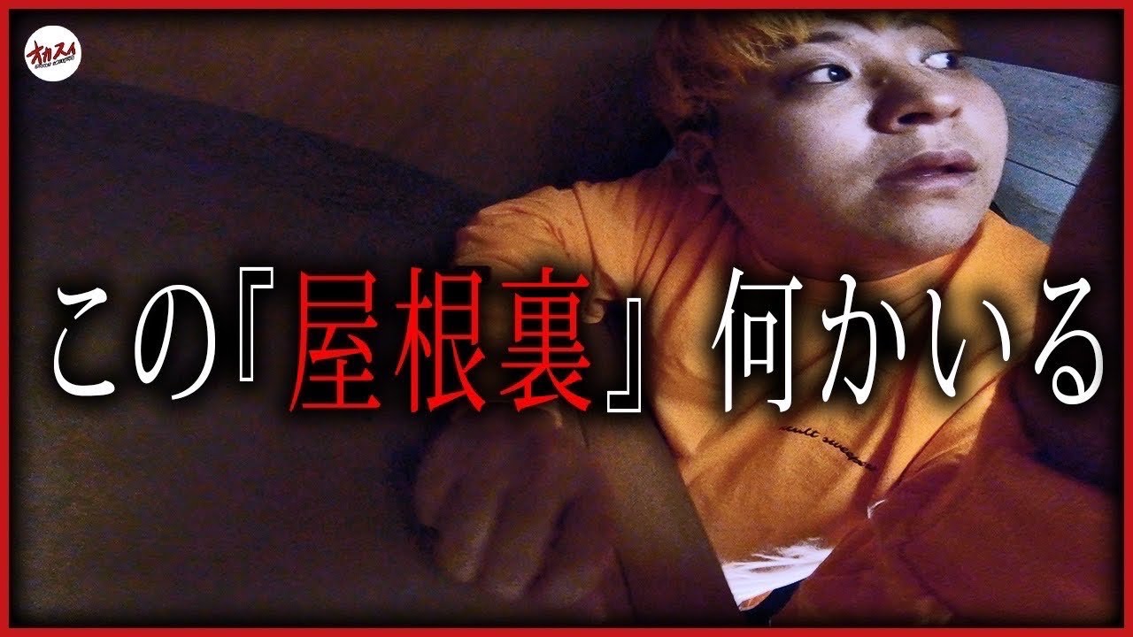 【怪現象に悩む家】ヤバい‼︎怪音連発‼︎ そして屋根裏には恐ろしい光景が。「上野がいってきます」コラボ探索編