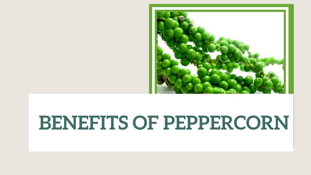 BENEFITS OF PEPPERCORNS Mishry Reviews YouTube