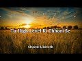 Tu High Level Ki Chhori se [Slowed & reverb] lo-fi version Mp3 Song