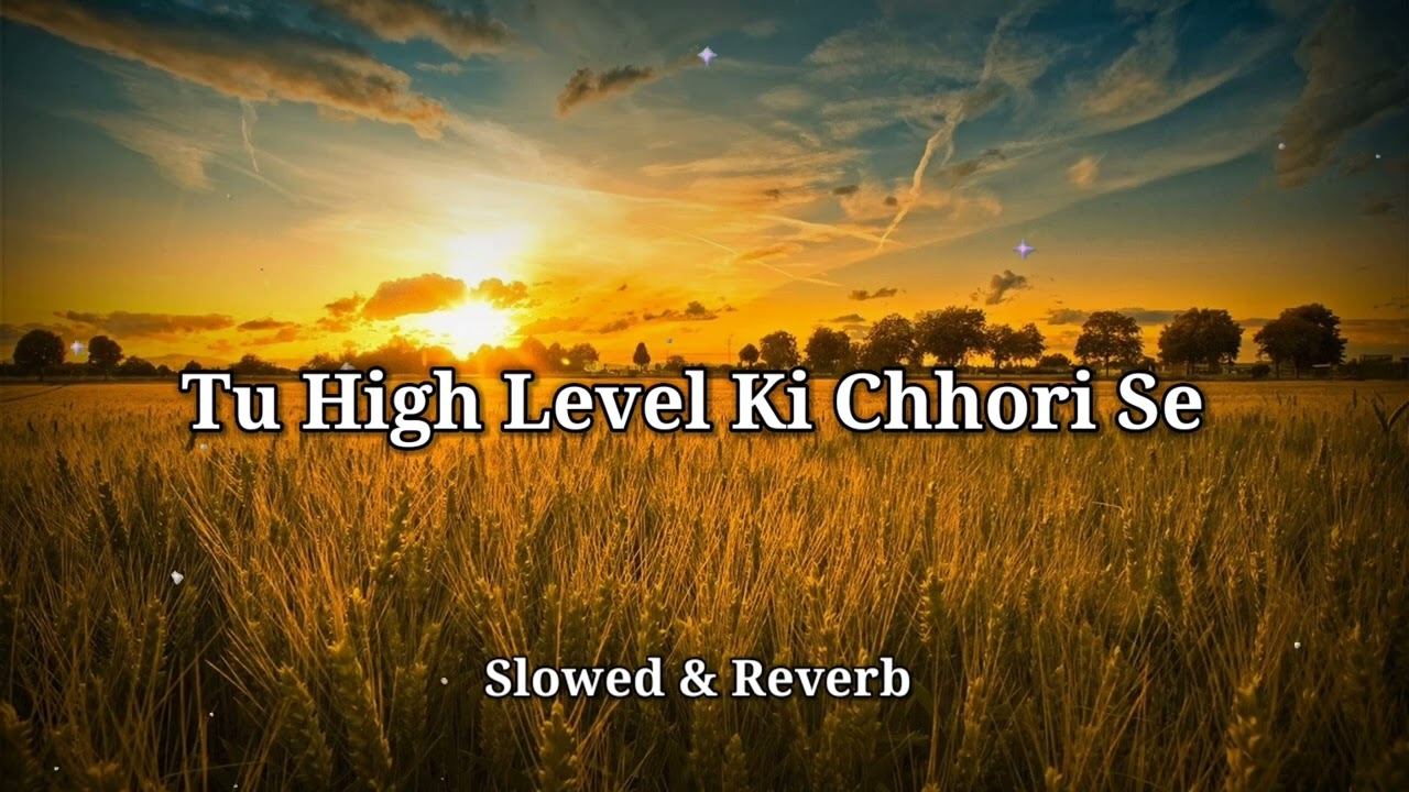 Tu High Level Ki Chhori se Slowed  reverb lo fi version