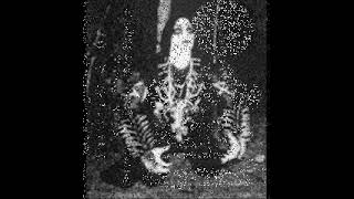 Black Funeral Bra. Supreme Majesty R.i.p. Band