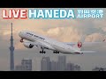 🔶LIVE📡 '25/11/18 羽田空港 T2 Tokyo International Airport HANEDA T2 plane spotting