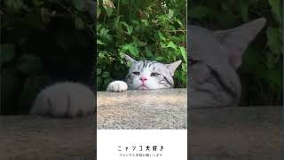 たそがれ～　