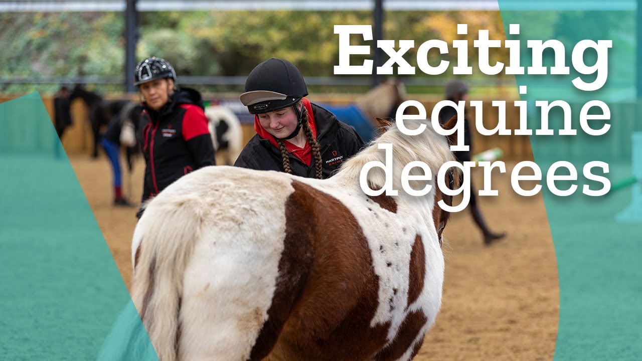 exciting-equine-degrees-at-hartpury-university-youtube