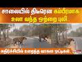 சாலையில் திடீரென கம்பீரமாக உலா வந்த ஒற்றை புலி.. அதிர்ச்சியில் உறைந்த வாகன ஓட்டிகள்..