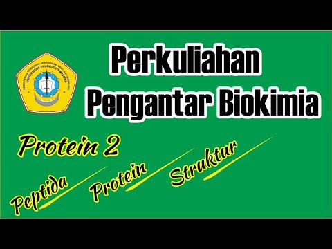 Video: Seberapa kuat ikatan peptida?