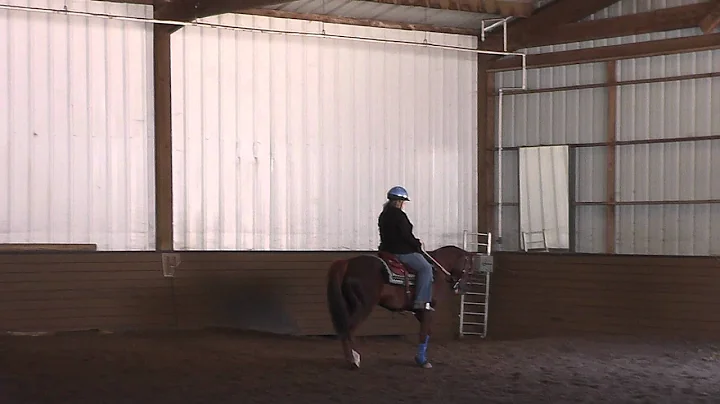 Jeanette Schwartz Horsemastership riding test 2 - 2012