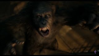 Caeser kills Koba Dawn of the Planet of the Apes screenshot 5