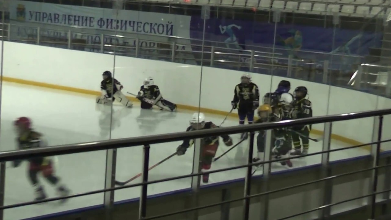 Ледовый дворец мелехово Ледовый дворец мелехово