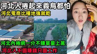 河北人捲起來義烏都怕，河北電商比種地強就乾，河北內捲網一分不賺單量上萬，河北人不圖賺錢只圖幹活