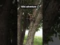 mini adventure vlog 😃... #viral #villagerlifestyle #trending #adventure #village #vlog