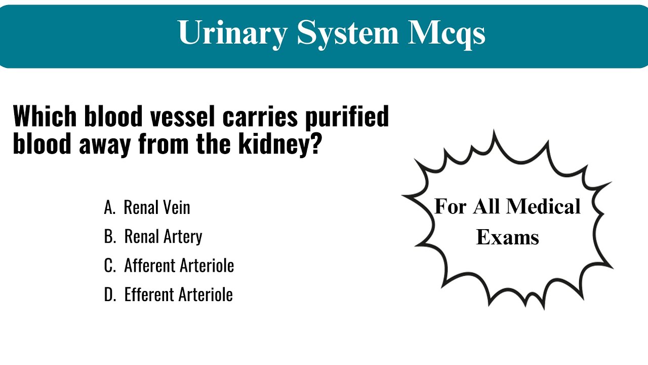 Human Urinary System Quiz||Test your Knowledge