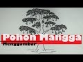 Cara Menggambar Pohon Mangga 💖 Psikotes 💖