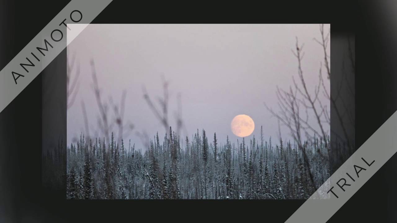 Le Combat D Hiver Résumé Détaillé Complet