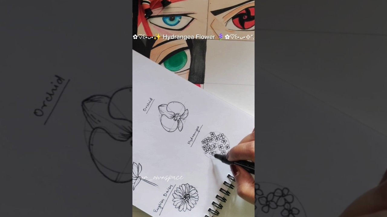 how to draw hydrangea flower 