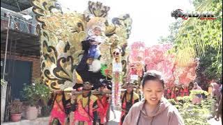 PANAS PERIH - DEVI MANUAL Singa Dangdut ANGGA PUTRA // Show Desa. Jatimulya Blok. kombo Kec. Terisi