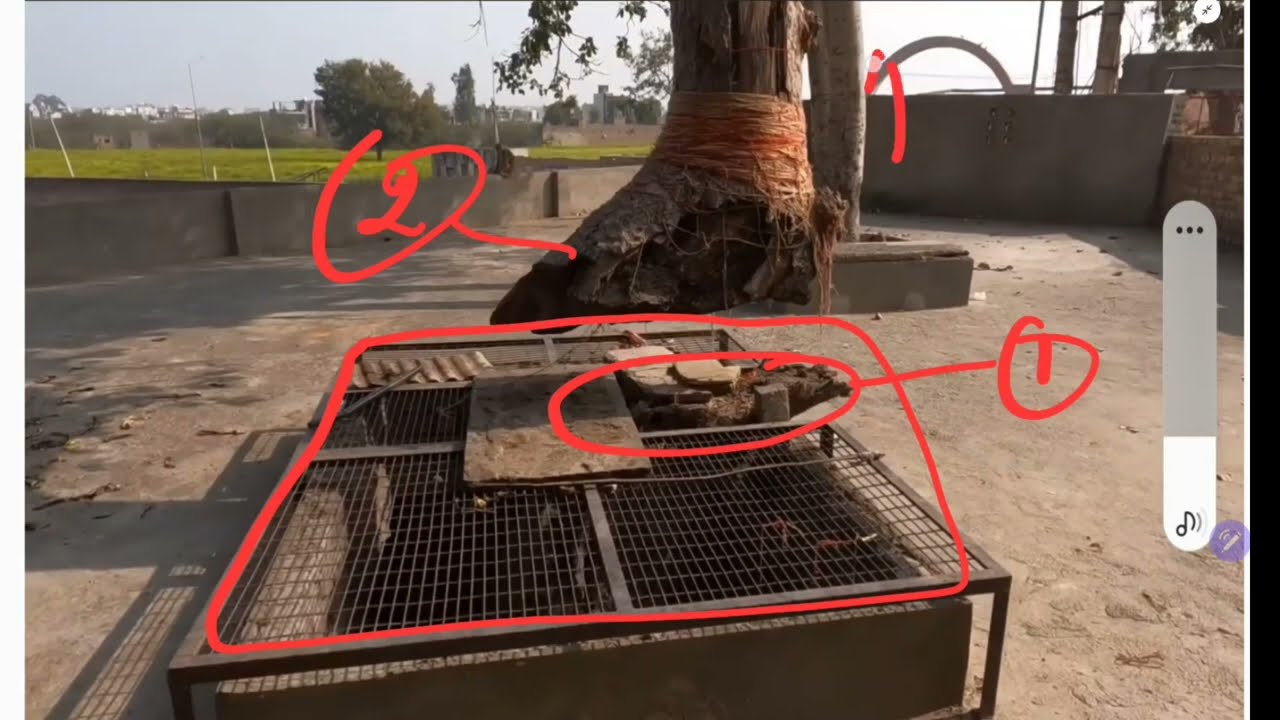 ਹਵਾ ਵਿੱਚ ਉਡਦਾ ਦਰੱਖਤ ਨਾ ਹੀ ਕੋਈ ਜੜ ਨਾ ਹੀ  ਤਣਾ | Manpreet singh Sran