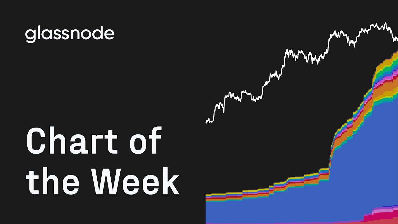 Chart of The Week: Treasury Company Balances