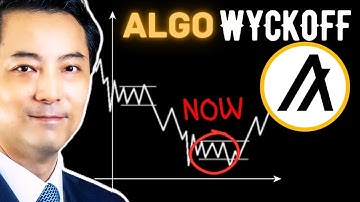 Algorand Rebound Signs Surfaced? (ALGO) Wyckoff Price Prediction (Nov 11, 2025)