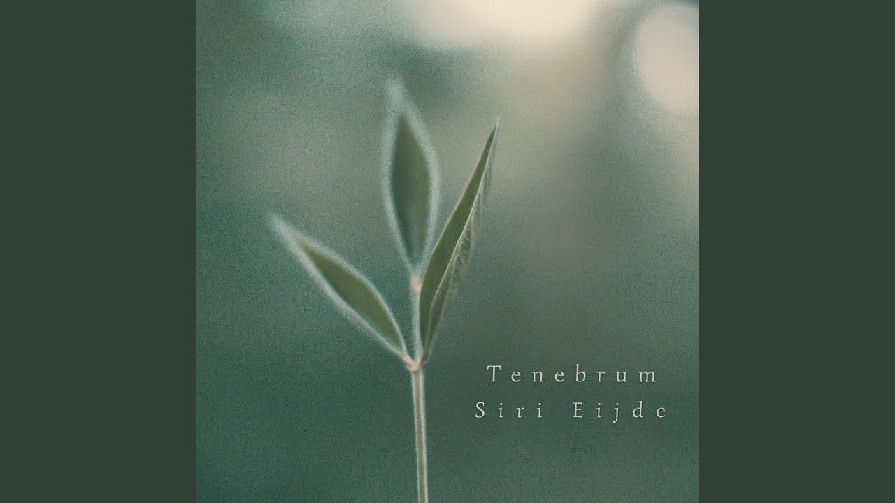 Watch Tenebrum on YouTube Watch Tenebrum on YouTube