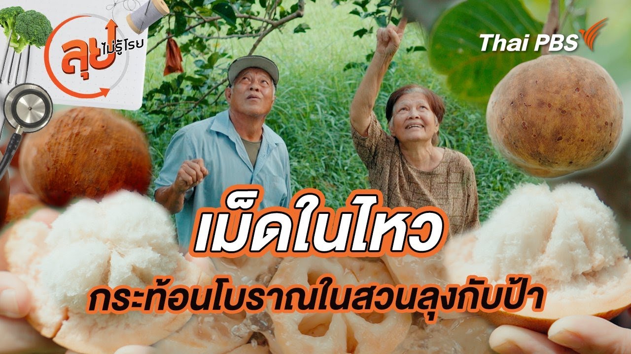 “เม็ดในไหว” กระท้อนโบราณในสวนลุงกับป้า | ลุยไม่รู้โรย
