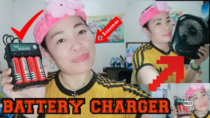 The battery charger