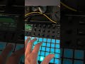 grooving #beatmaker #synthesizer #producer #music #teenageengineering