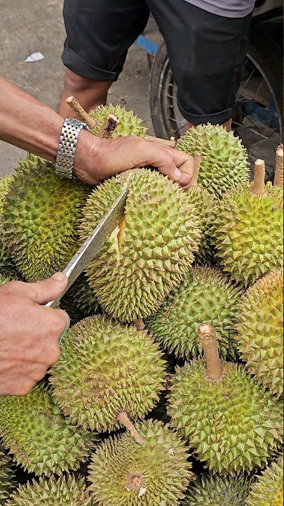 The world's smelliest fruit? but very delicious, Durian fruit cutting - Vietnamese Street Food