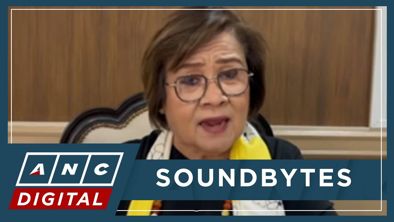 De Lima: 'Ninakawan na tayo ng bilyon-bilyon, wala pa ring big fish na nahuhuli' | ANC