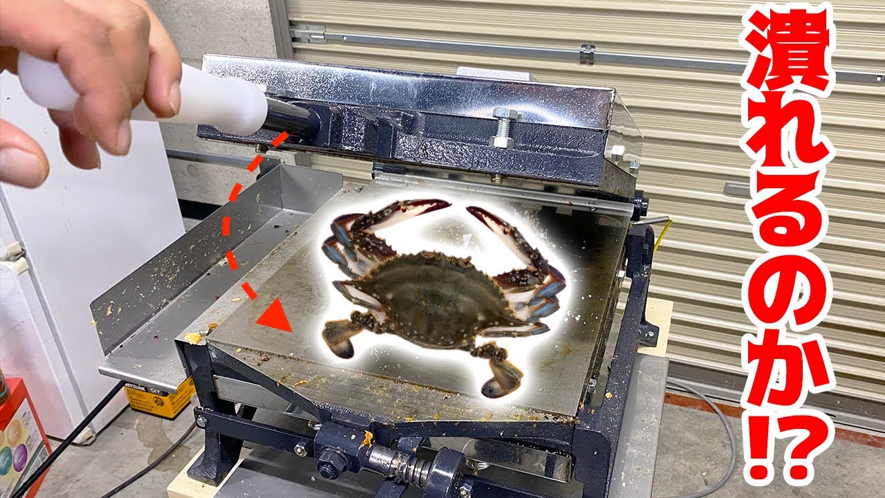 I tried to crush a rock hard crab flat! - YouTube