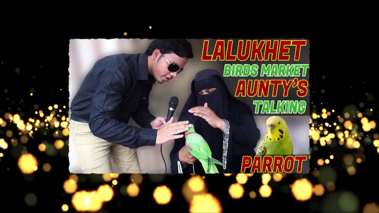 Jamshed Asmi Informative Channel Like share & Subscribe Thanks to all