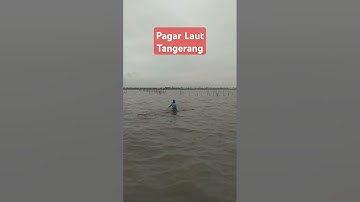 Pagar Laut Tangerang#shorts  #fishing#mancingmania