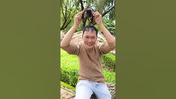 Hai cha con cài tóc mái xinh #caitocgia #tocmai