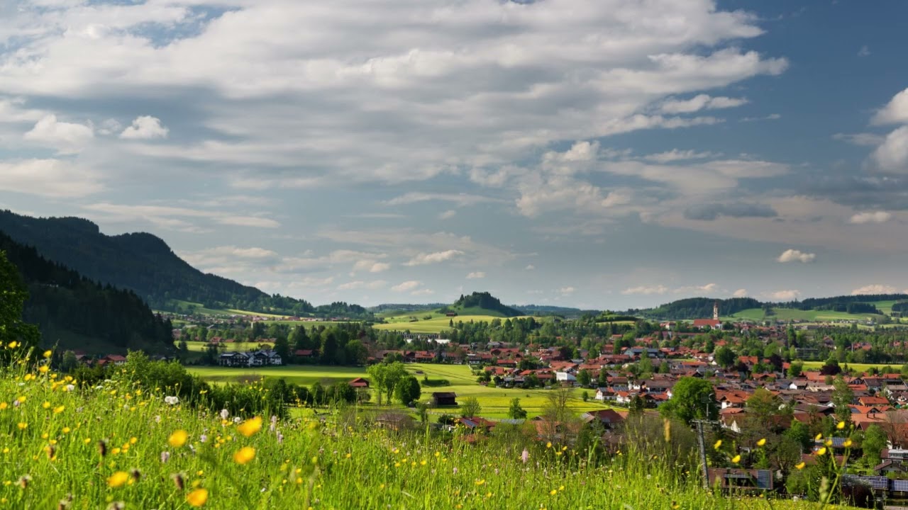 Tôi Nuôi Cả Gia Đình Anh 5 Năm, Anh Lại Có Vợ Khác phần 4