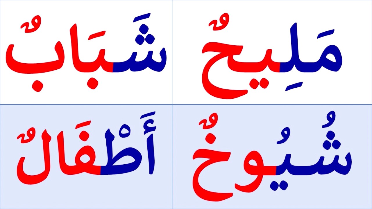 تعلم القراءة والكتابة | تعلم قراءة وكتابة كلمات مع التنوين بالضم