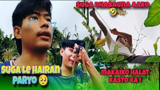 Makai barima suga dhabauna gako 🥺! Suga le hairan paryo 😭