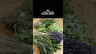 🍀🪴🌿 Успокаивающий аромат засушенных трав. Так пахнет в старом деревянном доме у бабушки в деревне