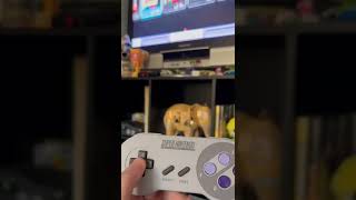 Use Your Wii Pro Controller On Your SNES Classic?!￼