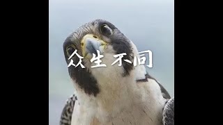 201801 众生不同40600
